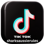 sharksaussierules (1)
